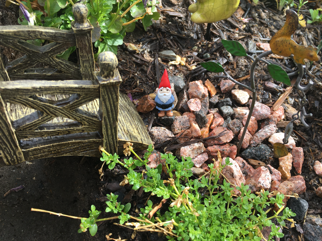 Small gnome button we hot glued to a rock in order to decorate our gnome garden.